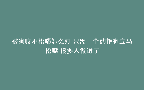 被狗咬不松嘴怎么办？只需一个动作狗立马松嘴！很多人做错了