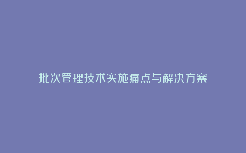 批次管理技术实施痛点与解决方案