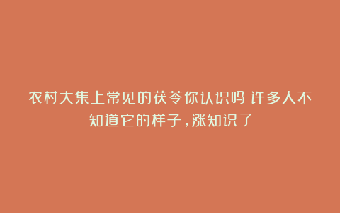 农村大集上常见的茯苓你认识吗？许多人不知道它的样子，涨知识了