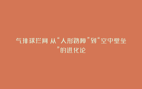 气排球拦网丨从“人形路障”到“空中壁垒”的进化论