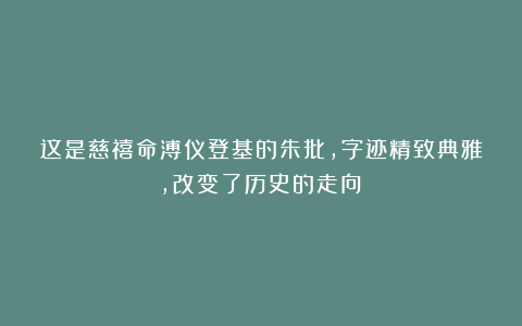 这是慈禧命溥仪登基的朱批，字迹精致典雅，改变了历史的走向！