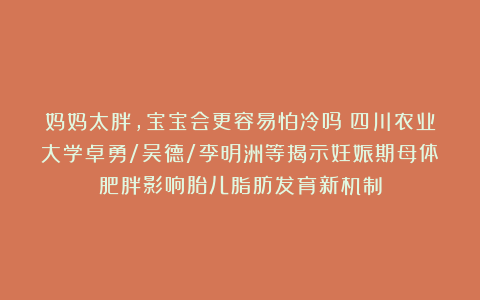 妈妈太胖,宝宝会更容易怕冷吗?四川农业大学卓勇/吴德/李明洲等揭示妊娠期母体肥胖影响胎儿脂肪发育新机制