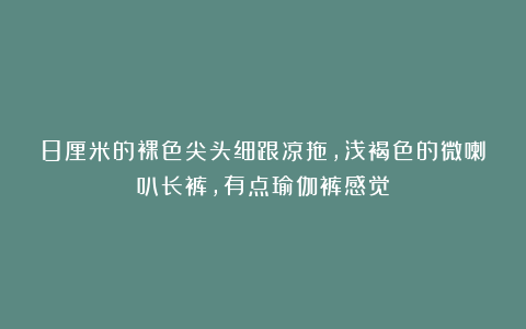 8厘米的裸色尖头细跟凉拖，浅褐色的微喇叭长裤，有点瑜伽裤感觉