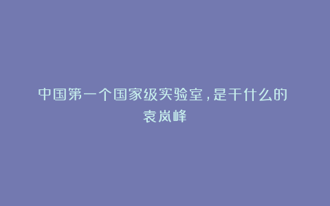 中国第一个国家级实验室，是干什么的？｜袁岚峰