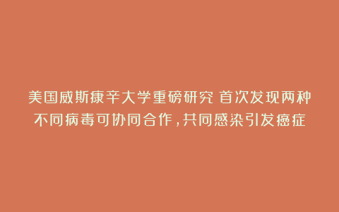 美国威斯康辛大学重磅研究！首次发现两种不同病毒可协同合作，共同感染引发癌症