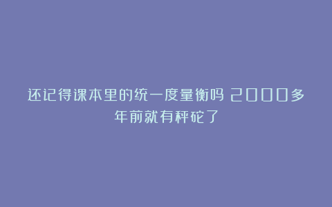 还记得课本里的统一度量衡吗？2000多年前就有秤砣了