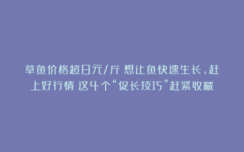 草鱼价格超8元/斤!想让鱼快速生长,赶上好行情?这4个“促长技巧”赶紧收藏!
