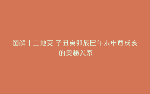 图解十二地支（子丑寅卯辰巳午未申酉戌亥）的奥秘关系