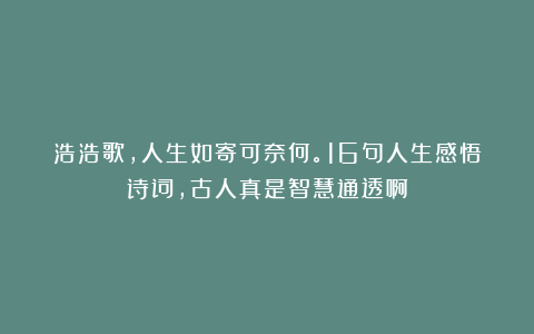 浩浩歌,人生如寄可奈何。16句人生感悟诗词,古人真是智慧通透啊