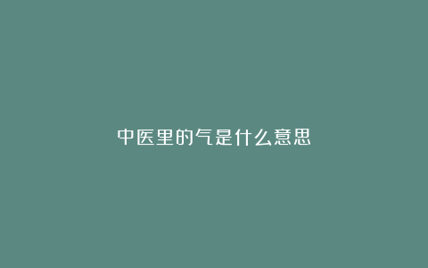中医里的气是什么意思？