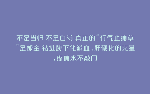 不是当归！不是白芍！真正的“行气止痛草”是郁金！钻进胁下化淤血，肝硬化的克星，疼痛永不敲门！