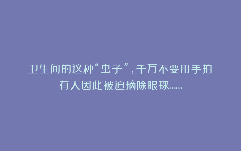 卫生间的这种“虫子”，千万不要用手拍！有人因此被迫摘除眼球……