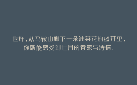 也许，从马鞍山脚下一朵油菜花的盛开里，你就能感受到七月的春意与诗情。