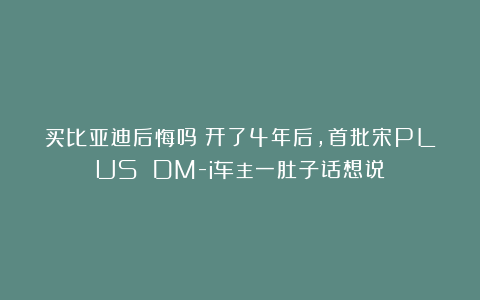 买比亚迪后悔吗？开了4年后，首批宋PLUS DM-i车主一肚子话想说
