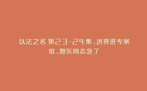 《以法之名》第23-24集,洪亮进专案组,旭东同志急了