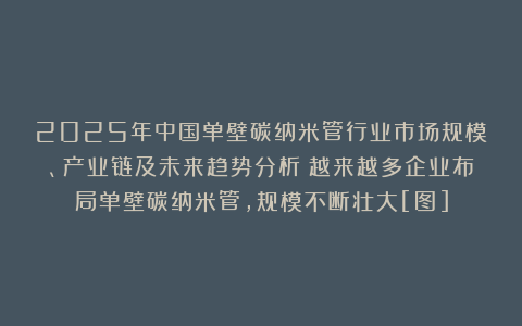 2025年中国单壁碳纳米管行业市场规模、产业链及未来趋势分析：越来越多企业布局单壁碳纳米管，规模不断壮大[图]