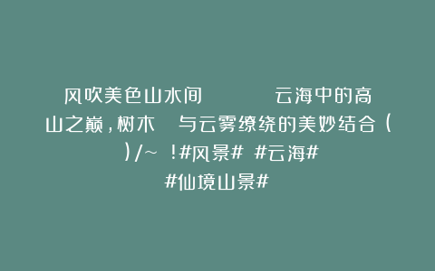 风吹美色山水间：🏔️🧗‍♂️云海中的高山之巅，树木🌳与云雾缭绕的美妙结合✨(✧∀✧)/~┴┴!#风景# #云海# #仙境山景#