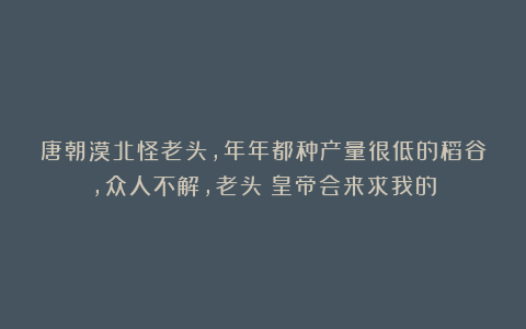 唐朝漠北怪老头，年年都种产量很低的稻谷，众人不解，老头：皇帝会来求我的