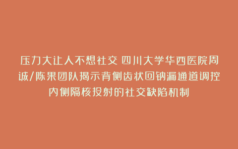 压力大让人不想社交？四川大学华西医院周诚/陈果团队揭示背侧齿状回钠漏通道调控内侧隔核投射的社交缺陷机制​