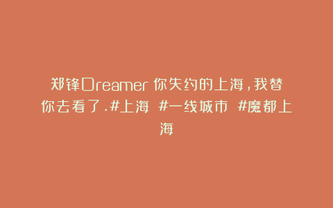 郑锋Dreamer：你失约的上海，我替你去看了.#上海 #一线城市 #魔都上海