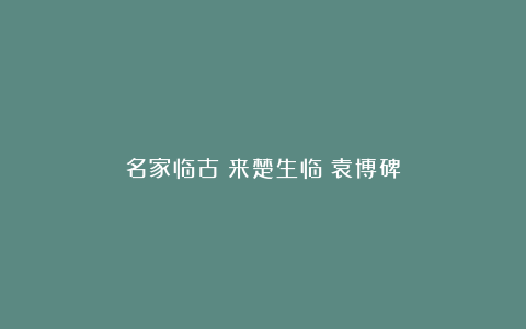 名家临古|来楚生临《袁博碑》
