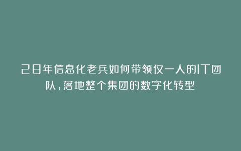 28年信息化老兵如何带领仅一人的IT团队，落地整个集团的数字化转型？