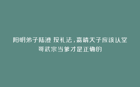 阳明弟子陆澄：按礼法，嘉靖天子应该认堂哥武宗当爹才是正确的！