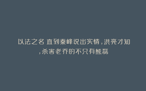 《以法之名》直到秦峰说出实情,洪亮才知,杀害老乔的不只有熊磊