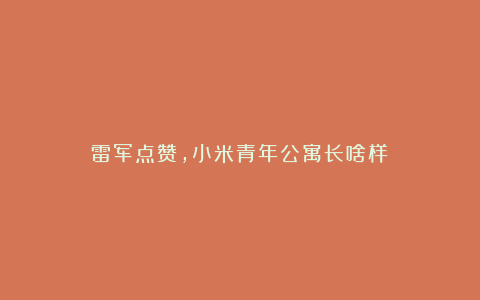 雷军点赞，小米青年公寓长啥样？