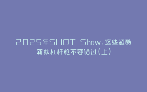 2025年SHOT Show，这些超酷新款杠杆枪不容错过(上)