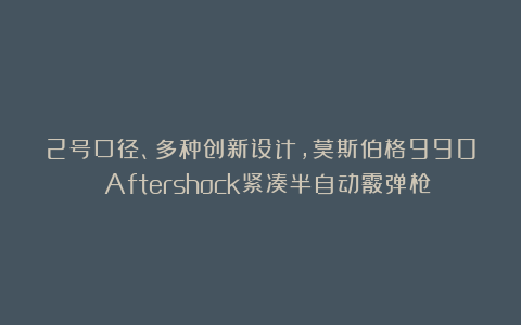 2号口径、多种创新设计，莫斯伯格990 Aftershock紧凑半自动霰弹枪