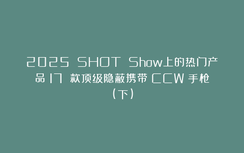2025 SHOT Show上的热门产品：17 款顶级隐蔽携带（CCW）手枪(下)