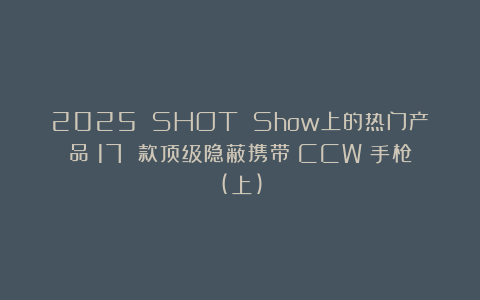2025 SHOT Show上的热门产品：17 款顶级隐蔽携带（CCW）手枪(上)
