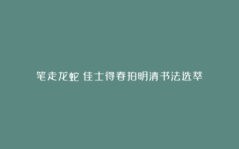 笔走龙蛇：佳士得春拍明清书法选萃