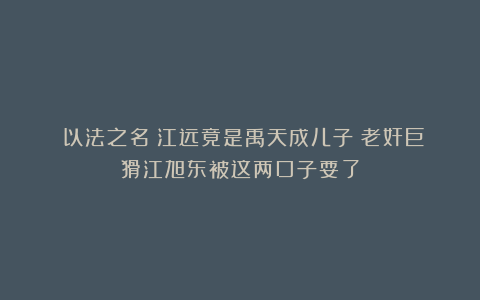 《以法之名》江远竟是禹天成儿子！老奸巨猾江旭东被这两口子耍了