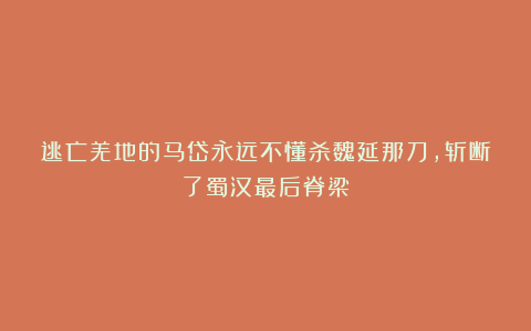 逃亡羌地的马岱永远不懂杀魏延那刀，斩断了蜀汉最后脊梁