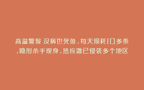 高温警报！没病也死鱼，每天损耗10多条，隐形杀手现身，热应激已侵袭多个地区！