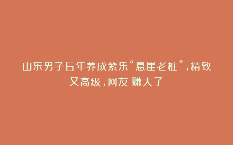 山东男子6年养成紫乐“悬崖老桩”，精致又高级，网友：赚大了！