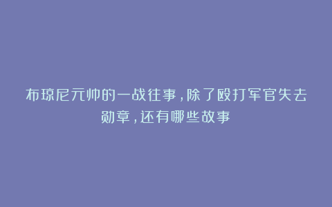 布琼尼元帅的一战往事，除了殴打军官失去勋章，还有哪些故事？