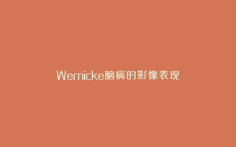 Wernicke脑病的影像表现