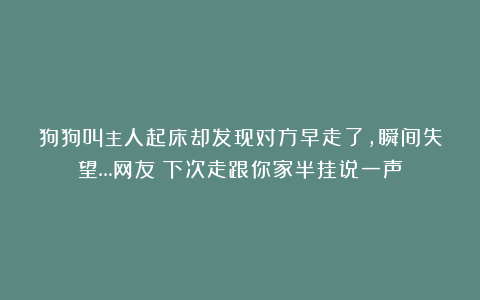 狗狗叫主人起床却发现对方早走了，瞬间失望…网友：下次走跟你家半挂说一声