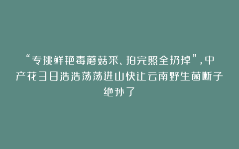 “专挑鲜艳毒蘑菇采、拍完照全扔掉”，中产花38浩浩荡荡进山快让云南野生菌断子绝孙了？