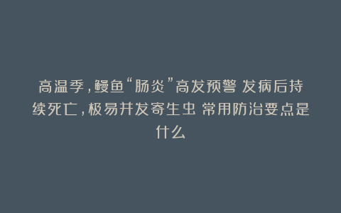 高温季，鳗鱼“肠炎”高发预警！发病后持续死亡，极易并发寄生虫！常用防治要点是什么？