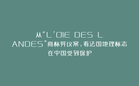 从“L’OIE DES LANDES”商标异议案，看法国地理标志在中国受到保护