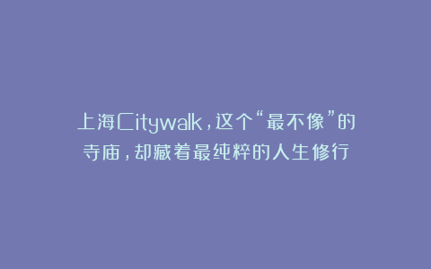 上海Citywalk，这个“最不像”的寺庙，却藏着最纯粹的人生修行