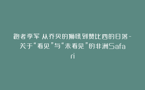 跑者李军：从乔贝的狮吼到赞比西的日落-关于“看见”与“未看见”的非洲Safari