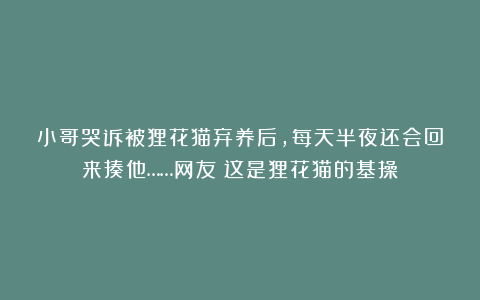 小哥哭诉被狸花猫弃养后，每天半夜还会回来揍他……网友：这是狸花猫的基操