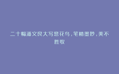 二十幅潘文良大写意花鸟，笔精墨妙，美不胜收！