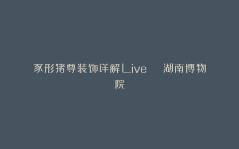 豕形猪尊装饰详解Live | 湖南博物院