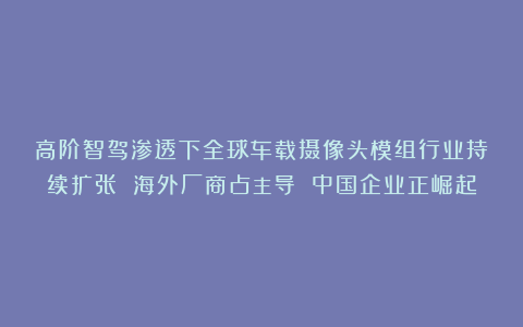 高阶智驾渗透下全球车载摄像头模组行业持续扩张 海外厂商占主导 中国企业正崛起